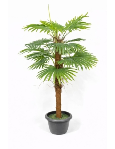Palmera de abanico artificial  160CM