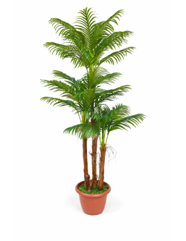 Palmera areca artificial  200CM
