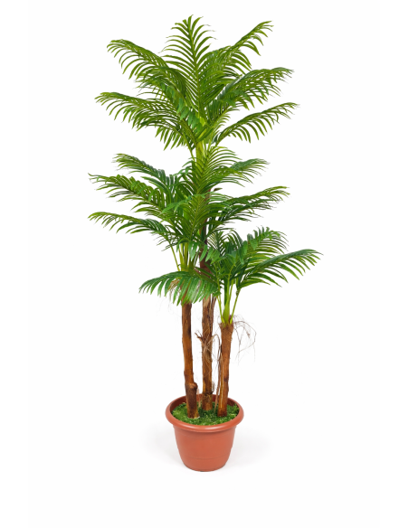 Palmera areca artificial  200CM