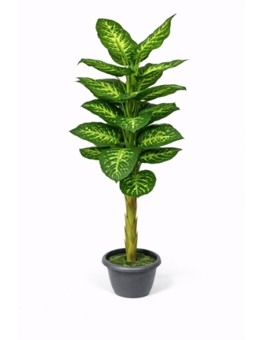 Dieffenbachia artificial  170CM
