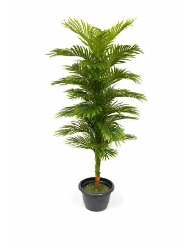Palmera kentia artificial  150CM