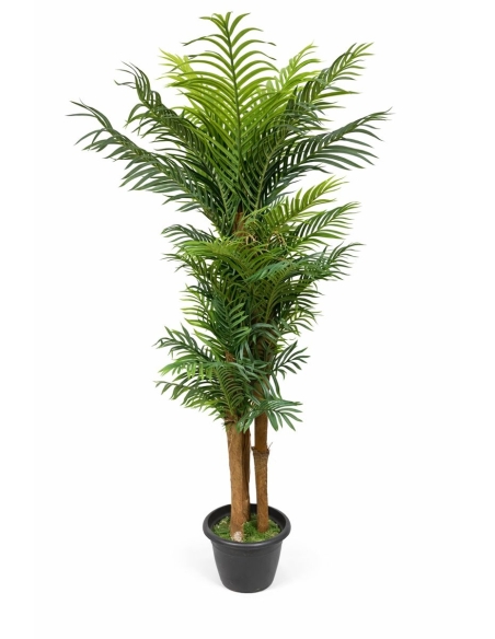 Palmera kentia artificial  185CM