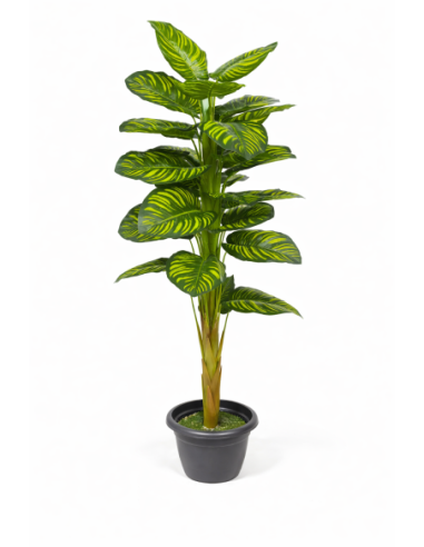 Calathea artificial  170CM