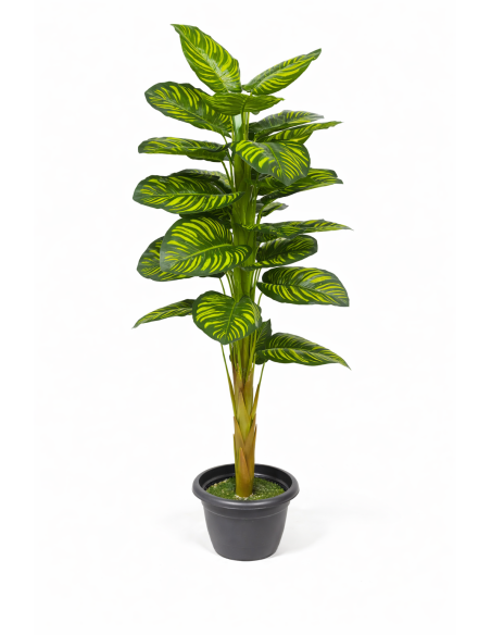 Calathea artificial  170CM