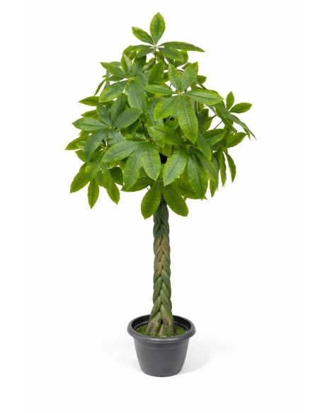 Pachira artificial  170CM