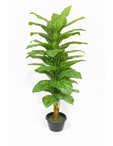 Dieffenbachia artificial 180CM