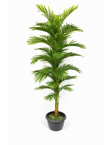 Palmera areca artificial  180CM