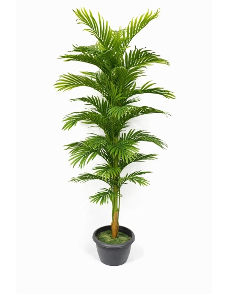 Palmera areca artificial  180CM