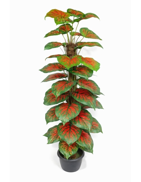 Aglaonema artificial  170CM
