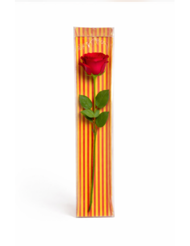 CAJA PLÁSTICO BANDERA 50CM