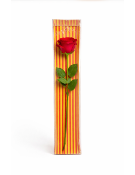 CAJA PLÁSTICO BANDERA 50CM