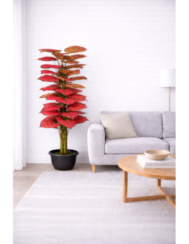 Caladium Artificial 170CM