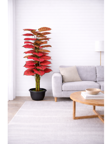 Caladium Artificial 170CM