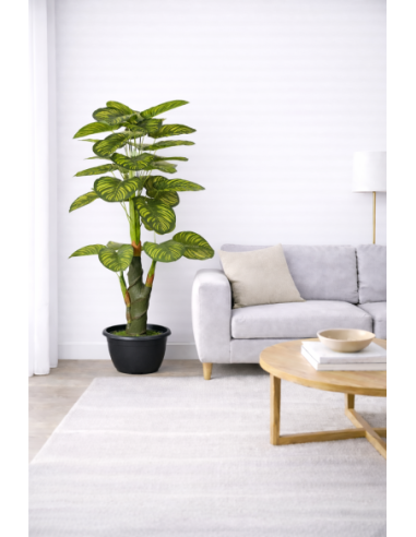 Dieffenbachia Artificial 170CM