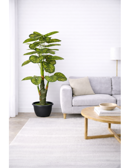 Dieffenbachia Artificial 170CM