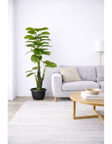 Philodendron Artificial 170CM