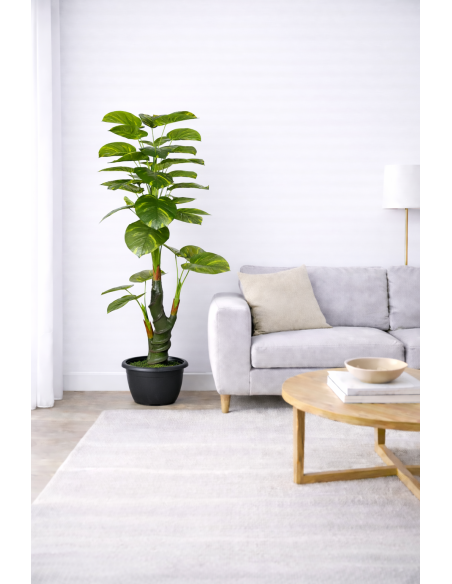 Philodendron Artificial 170CM