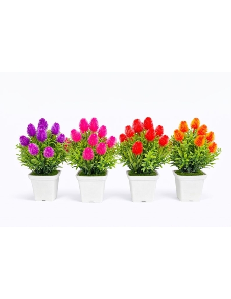 COMP.Gomphrena artificial 4und.
