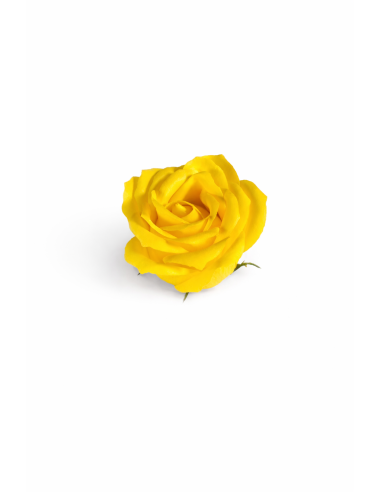 ROSA DE JABON 25PCS 6CM