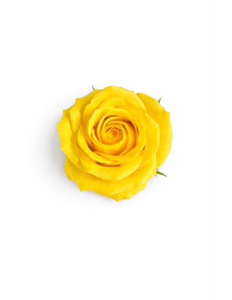 ROSA DE JABON 25PCS 6CM