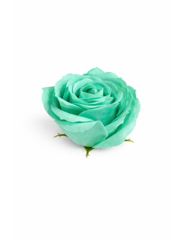 ROSA DE JABON 25PCS 6CM