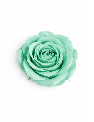 ROSA DE JABON 25PCS 6CM