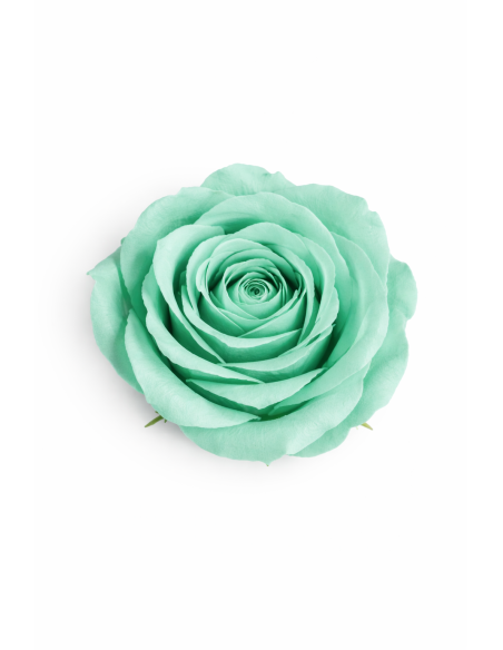 ROSA DE JABON 25PCS 6CM