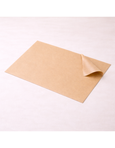 PAPEL PLASTICO TRANSLUCIDO PARA FLORES 20PCS 58*58CM