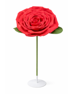 ROSA GRANDE ALT.1.6M FLOR.60CM