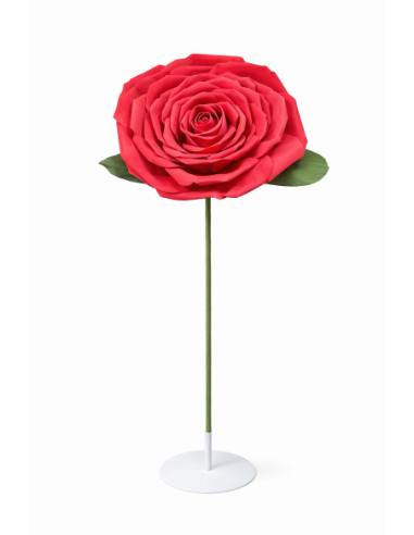 ROSA ALT.1.6M  FLOR.43CM