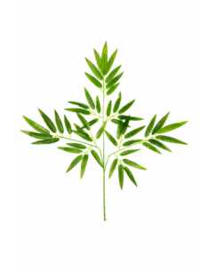 RAMA ARTIFICIAL DE BAMBU 70CM