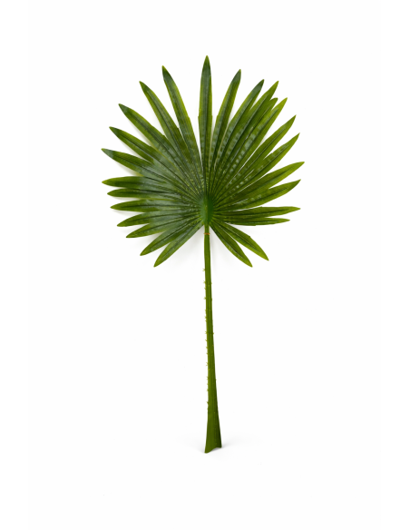 HOJA DE PALMA ABANICO ALT.90CM