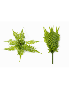 PLANTA DE HELECHO 60/80CM