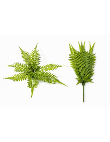 PLANTA DE HELECHO 60/80CM