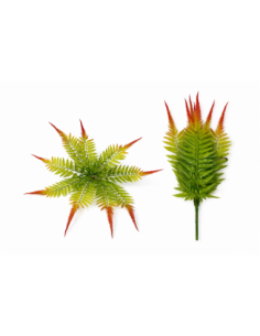 PLANTA DE HELECHO 60/80CM