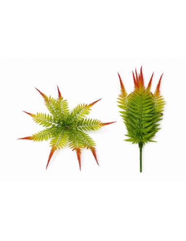 PLANTA DE HELECHO 60/80CM