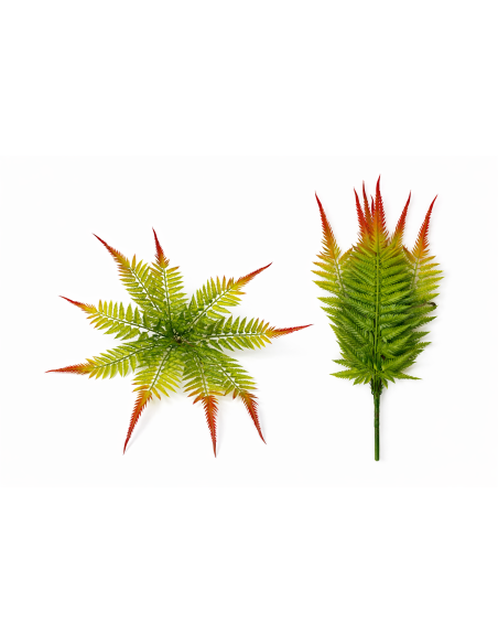 PLANTA DE HELECHO 60/80CM