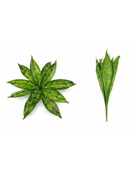 PLANTA DE DIEFFENBACHIA 45/55CM