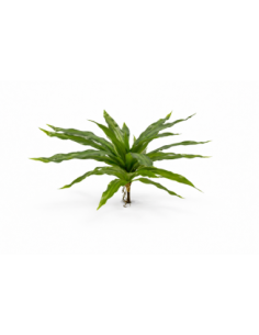 DRACENA TROPICAL 38CM
