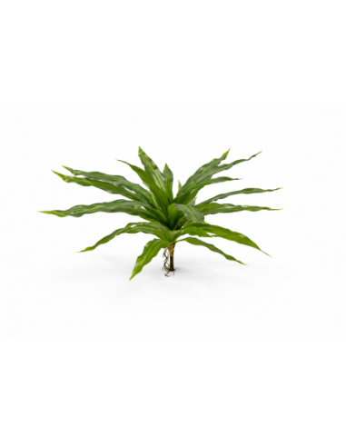 DRACENA TROPICAL 38CM
