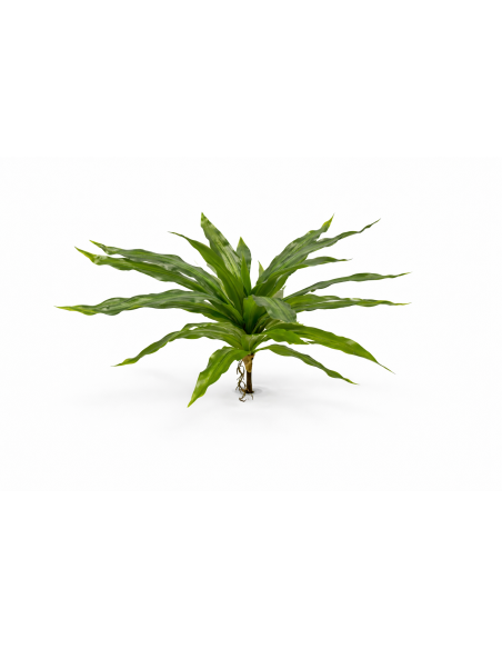DRACENA TROPICAL 38CM