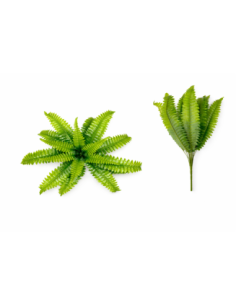 PLANTA DE HELECHO 50/60CM