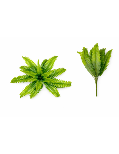 PLANTA DE HELECHO 50/60CM