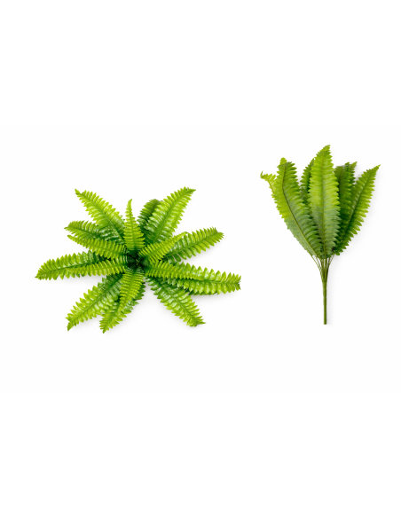 PLANTA DE HELECHO 50/60CM