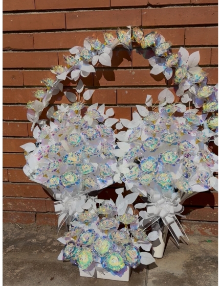 CONJUNTO1.5M.S.BOREAL.1-1