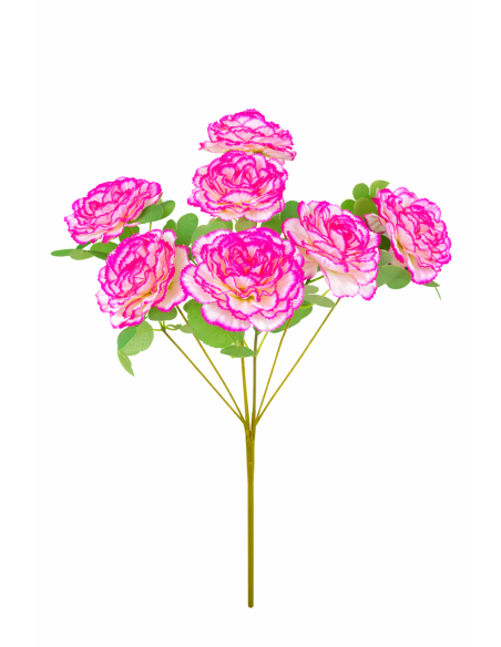 RAMO DE 7 CLAVEL FUSCIA