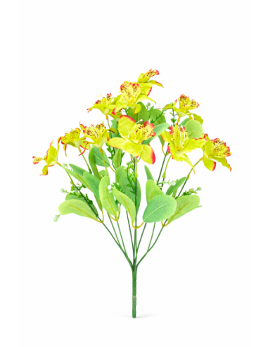 RAMO DE 10 LILIO VERDE