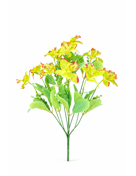 RAMO DE 10 LILIO VERDE