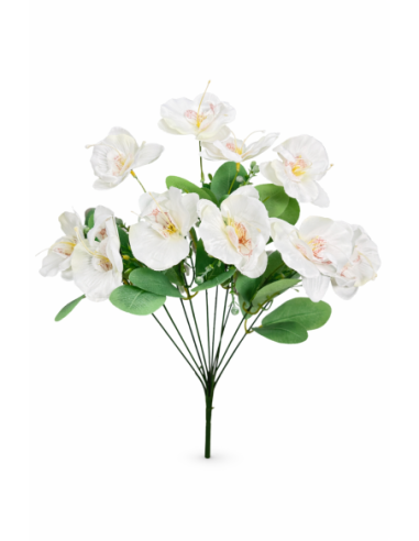 RAMO DE 10 ORQUIDEA BLANCO