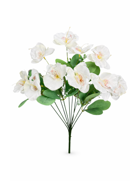 RAMO DE 10 ORQUIDEA BLANCO
